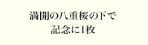 お礼の言葉